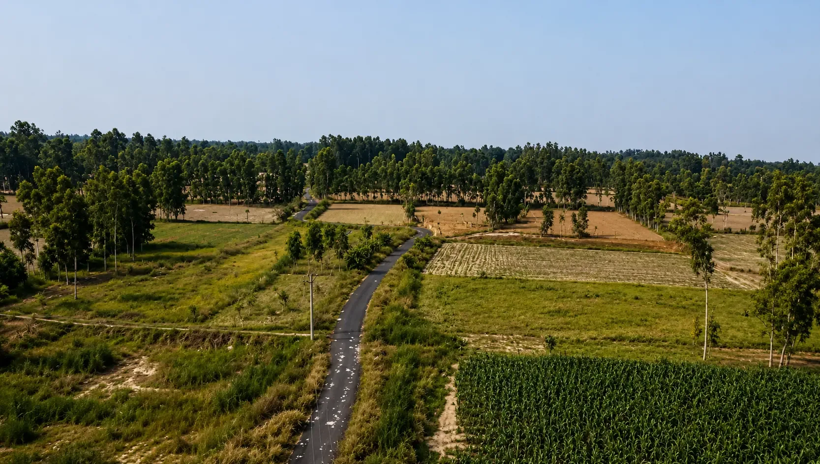 Paavan Dham Phase 1 aerial view 4